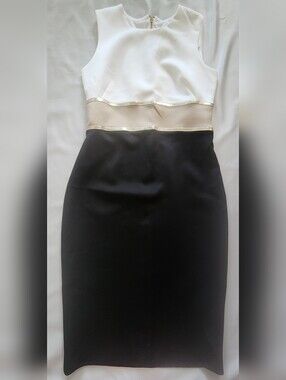 Calvin Klein Colorblock Sleeveless Sheath Dress with Metallic Trim
